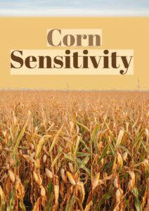 corn sensitivity Scottsdale Norterra infographic